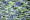 3037 Jade Green