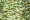 3257 Golden Green