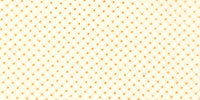 Stitch Garden Aida Neeedlecraft Fabric. 30 x 45cm. 11 Count. Cream.