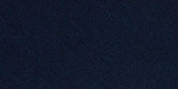 Navy.