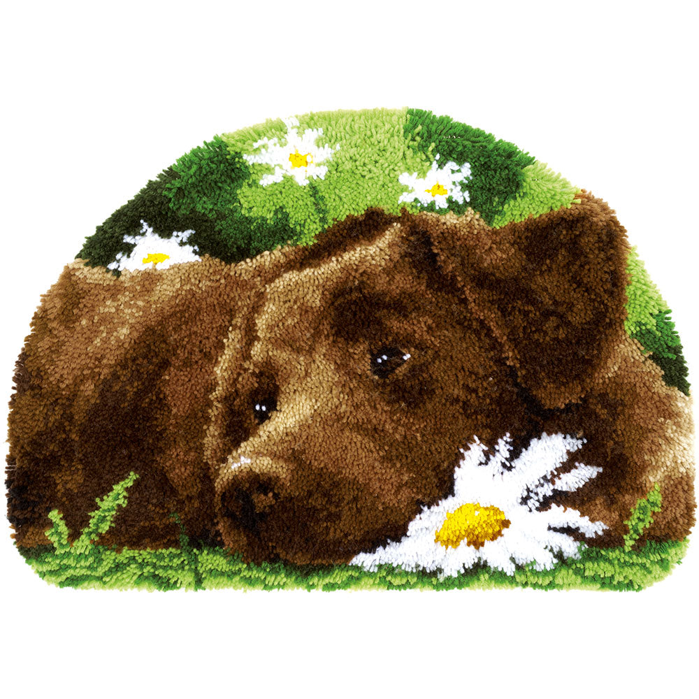 Labrador Hand Hooked Rug Vervaco Chocolate Labrador Latch Hook Rug Kit – Sew Essential