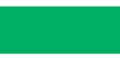 Celebrate Organdie Ribbon. 25mm x 5m. Lime.