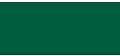 Celebrate Organdie Ribbon. 32mm x 5m. Australian Green.