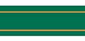 Celebrate Organdie with Gold Line and Satin Edge. 15mm x 5m. Hunter Green.