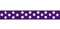 Celebrate Grosgrain with Spots Ribbon. 6mm x 5m. Purple.