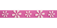 Celebrate Daisy Ribbon. 15mm x 3.5m. White on Hot Pink.