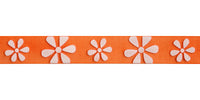 Celebrate Daisy Ribbon. 15mm x 3.5m. White on Orange.