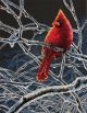 Dimensions Ice Cardinal Counted Cross Stitch Kit