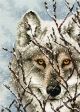 Dimensions Wolf Counted Cross Stitch Kit