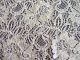 John Kaldor Tocca Lace Fabric. Ivory.