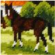 Orchidea Embroidery Kit. Brown Horse.