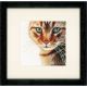 Vervaco Cat in Close-Up 2 Counted Cross Stitch Kit