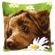 Vervaco Chocolate Labrador Cross Stitch Cushion Kit