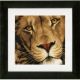 Vervaco King of Animals 2 Counted Cross Stitch Kit