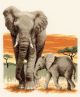 Vervaco Counted Cross Stitch Kit. Elephants Journey 2.